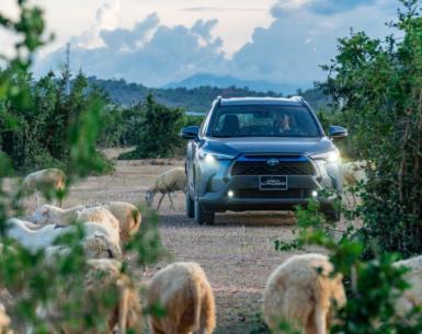 Corolla Cross: Tĩnh lặng, mạnh mẽ, linh hoạt như báo đốm