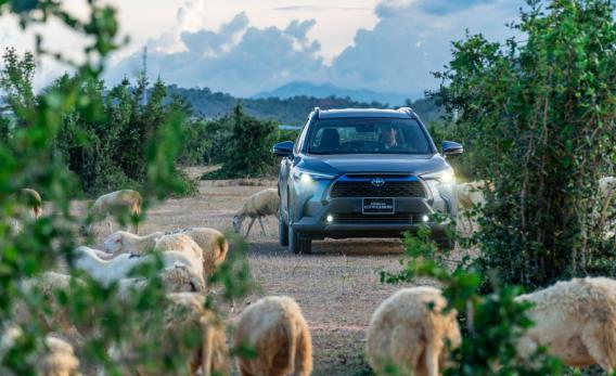 Corolla Cross: Tĩnh lặng, mạnh mẽ, linh hoạt như báo đốm