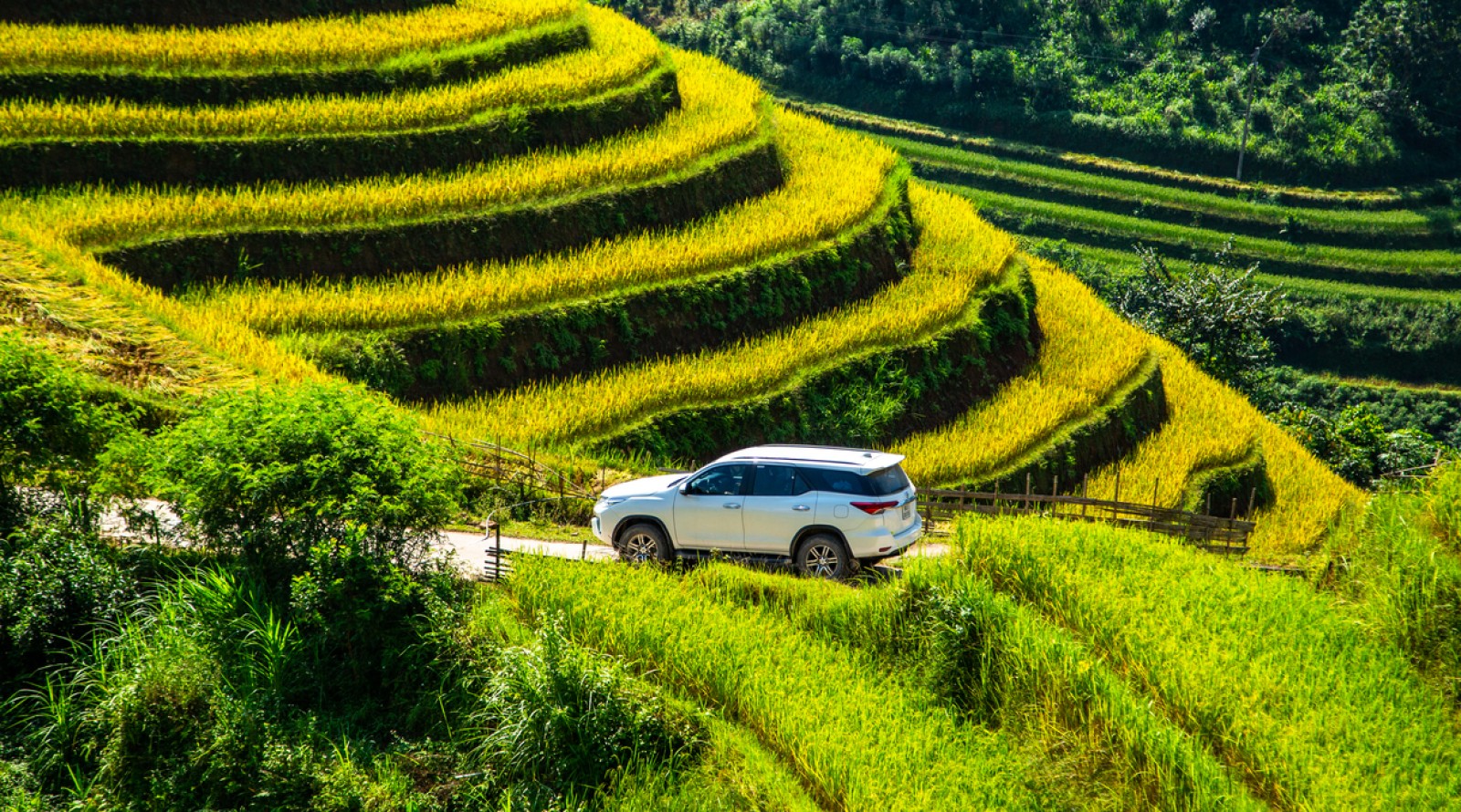 Đi giữa mùa vàng Pù Luông